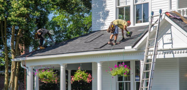 Best Steel Roofing  in Campti, LA